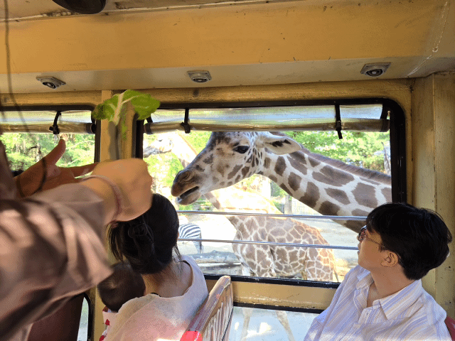 Lost Valley safari bus
