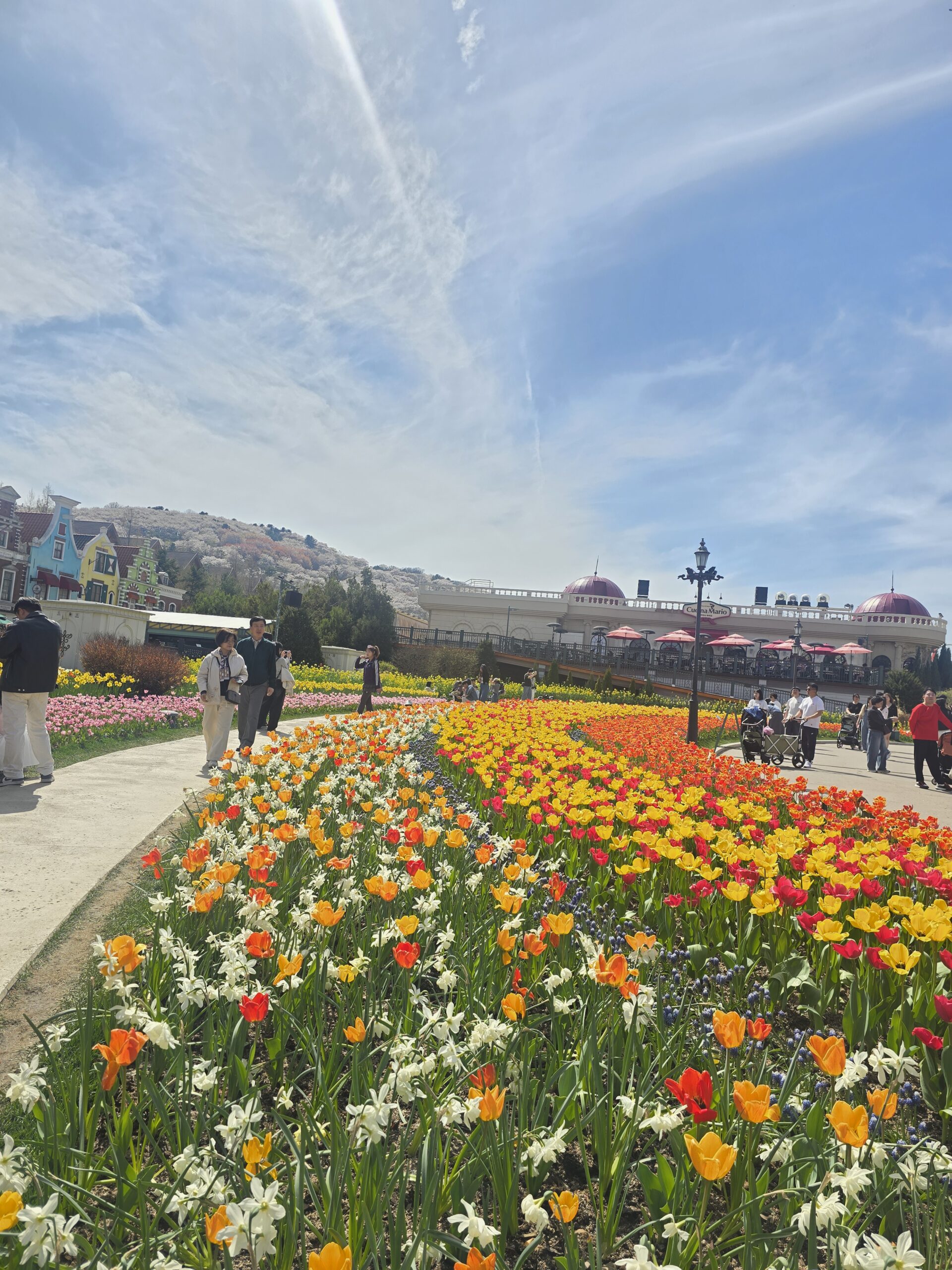 Everland flower garden