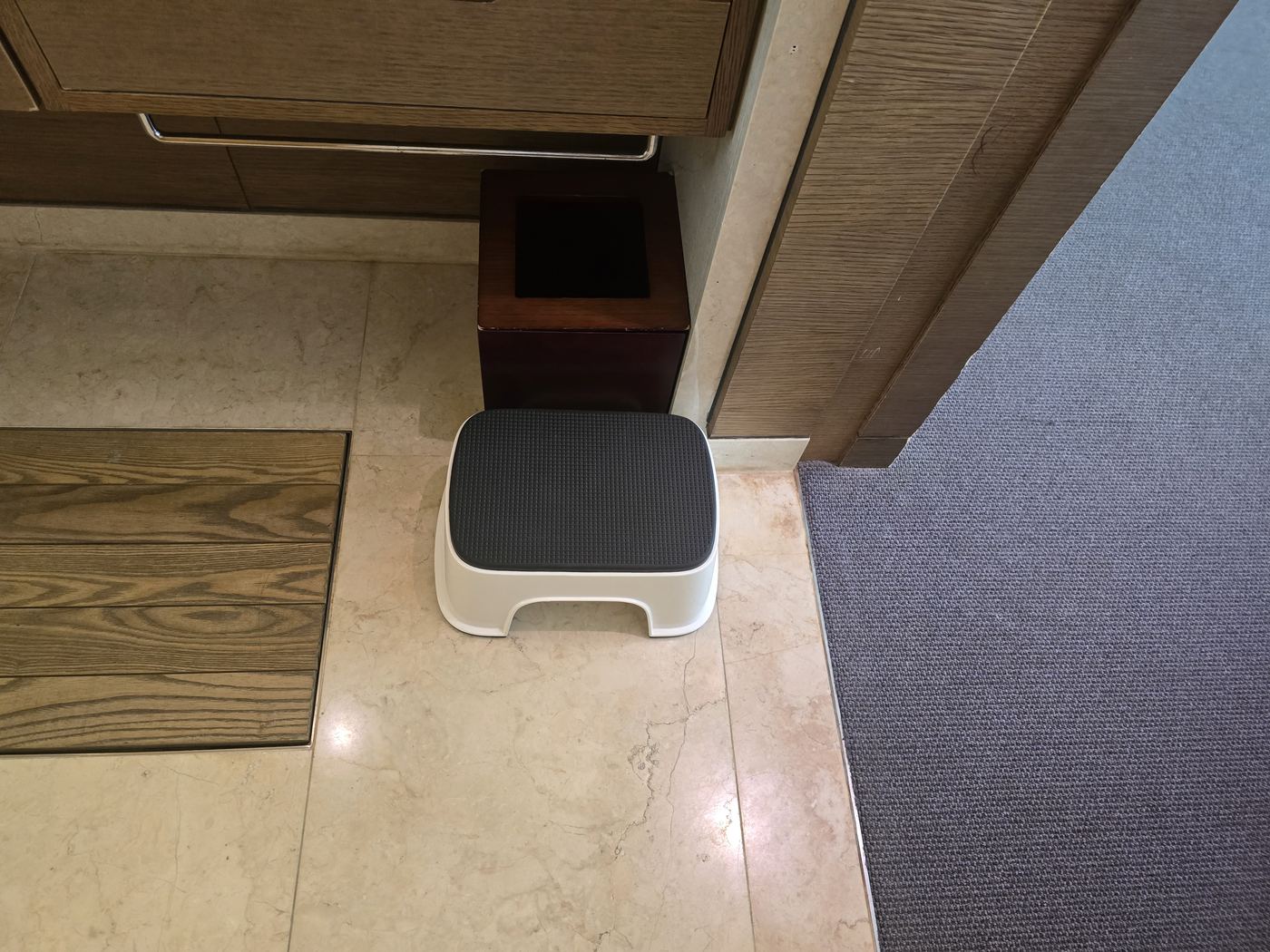 Baby toilet seat and step stool loaned by Haevichi Hotel