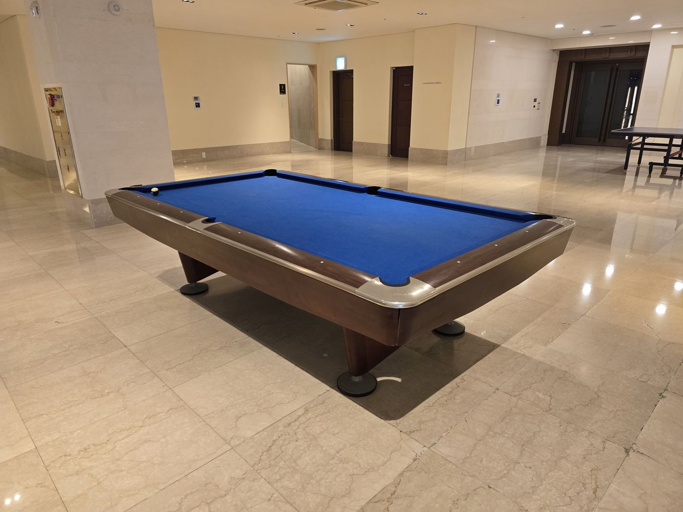 Haevichi basement billiards table