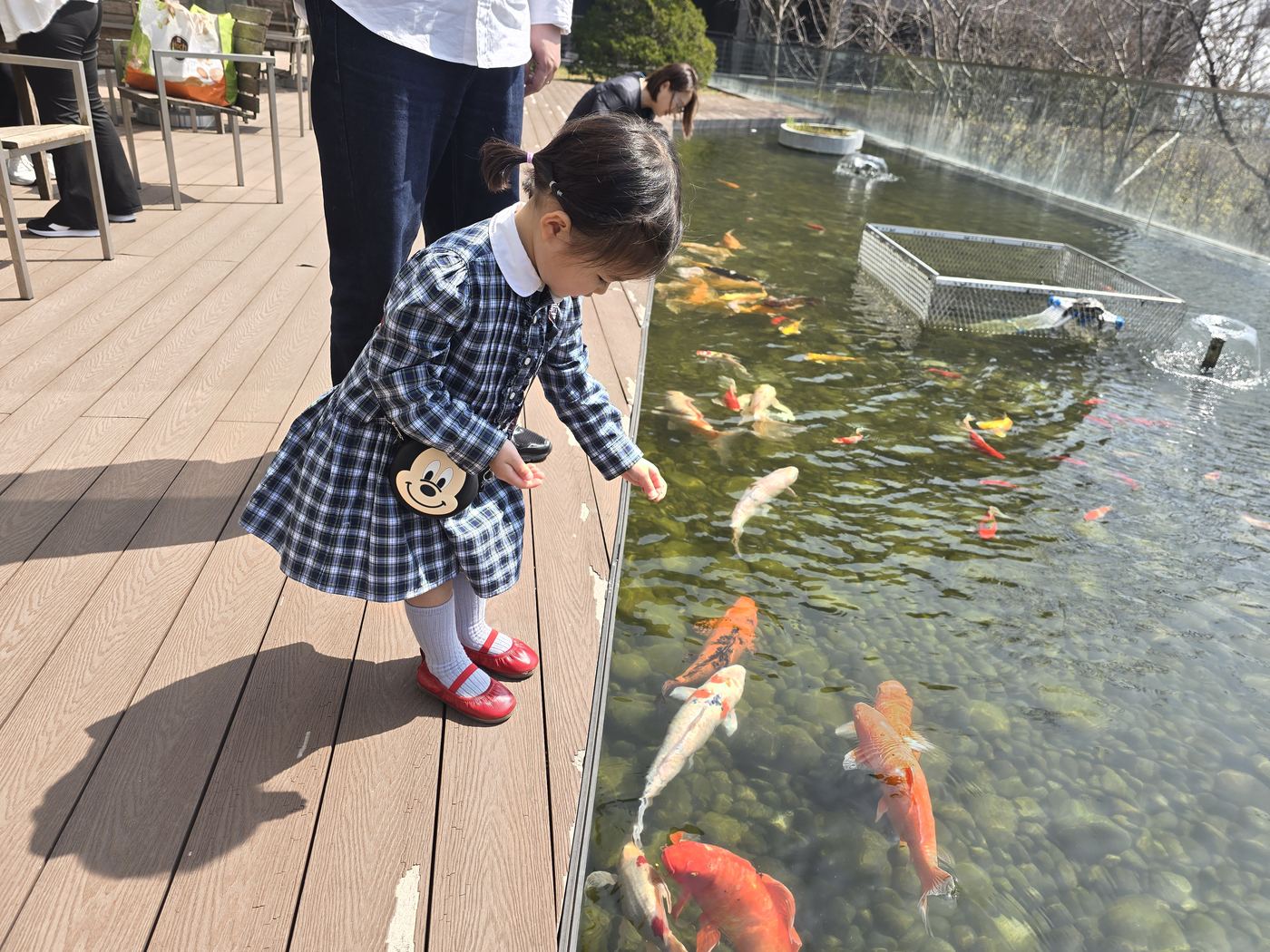 The fish come fast
