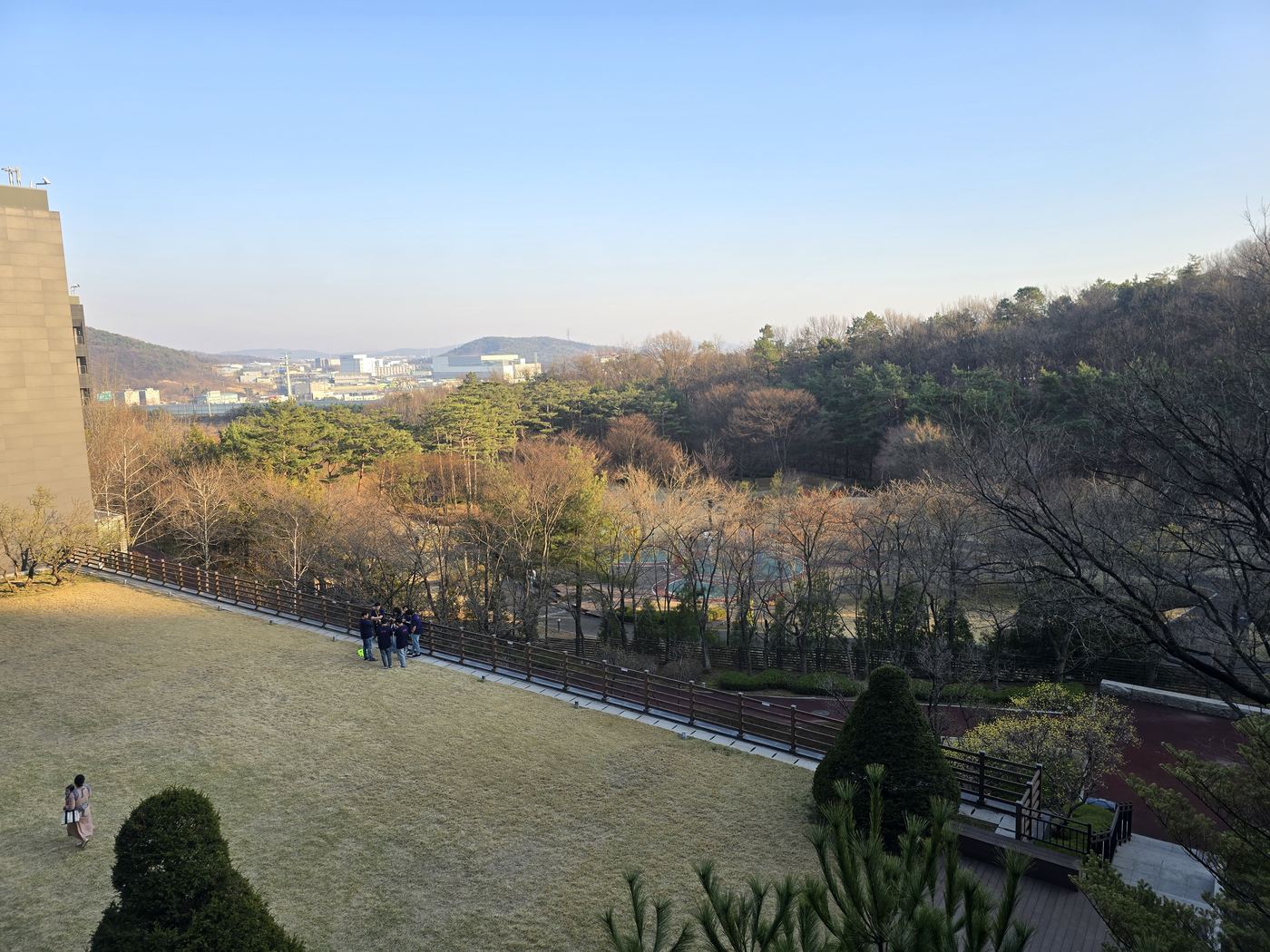 Garden view from the room