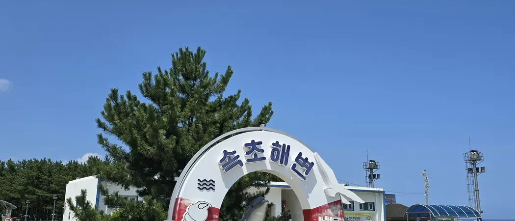 Perfect Half-Day in Sokcho with a Toddler: Brunch, Shops & the Beach